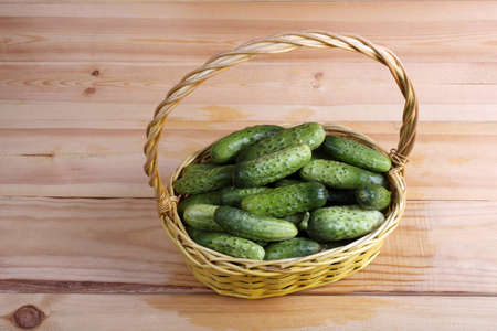 Cucumbers on basketの写真素材