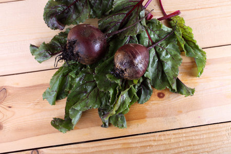 Beets harvest