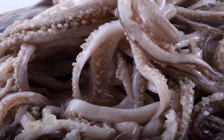 Squid tentacles background