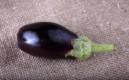 Aubergine on baggingの写真素材