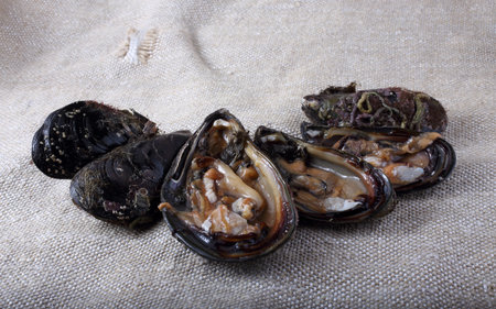 Mussels on bagging