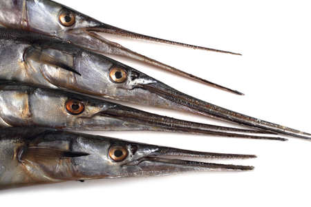 Garfishes isolated on whiteの写真素材
