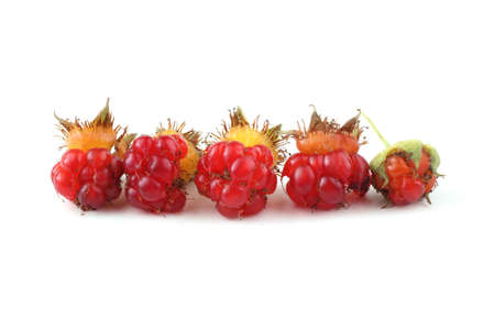 Japanese wineberry (wine raspberry, wineberry, dewberry). Far eastern delicacyの写真素材