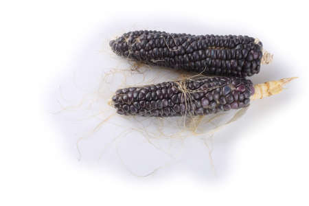 Black corn isolated on whiteの写真素材