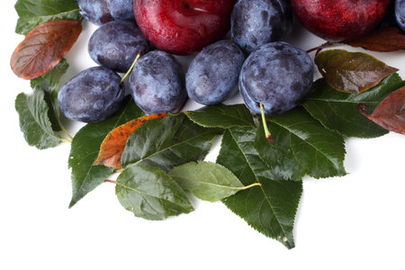 Plums on autumn leavesの写真素材