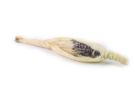 Black corn isolated on white