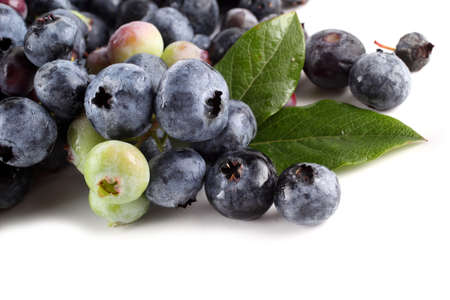 Blueberries background. Berries and leavesの写真素材