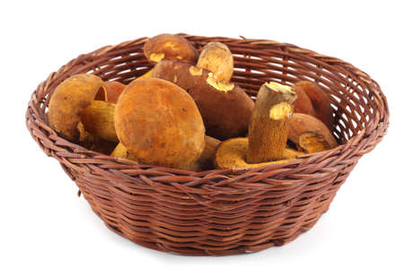 Boletus ferrugineus (Xerocomus spadiceus) mushrooms on wicker plate. Delicacyの写真素材