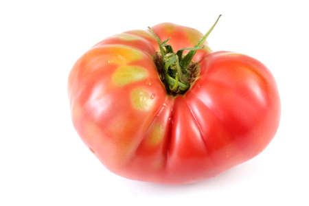 Big red tomatoの写真素材