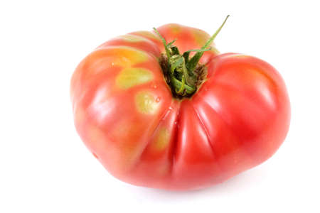 Big red tomato