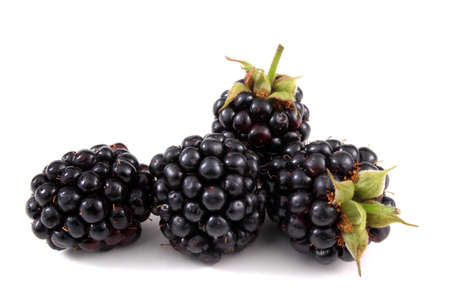 Blackberries isolated on whiteの写真素材