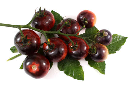 Black tomatoes on leaves isolated on whiteの写真素材