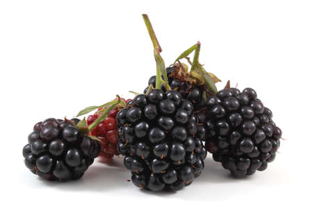 Blackberries isolated on whiteの写真素材