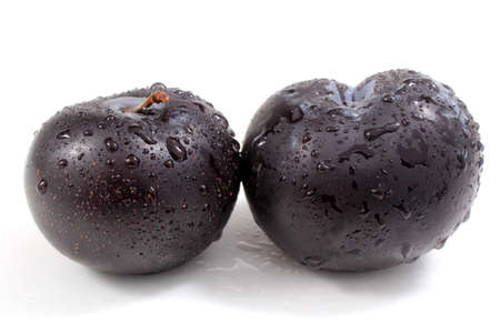 Two black plums isolated on whiteの写真素材