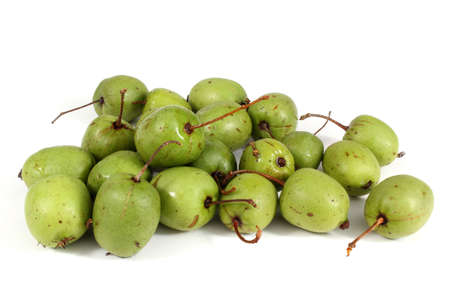 Actinidia kolomikta isolated on whiteの写真素材