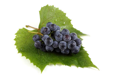 Black grape on leaf isolated on whiteの写真素材