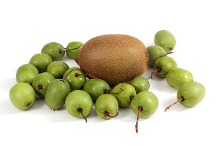 Kiwi and actinidia kolomikta isolated on whiteの写真素材