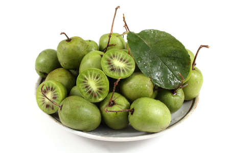 Actinidia kolomikta isolated on whiteの写真素材