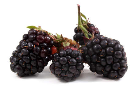 Blackberries isolated on whiteの写真素材