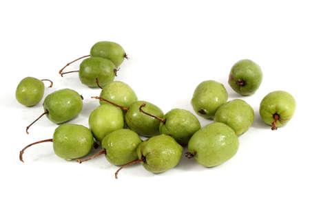 Actinidia kolomikta isolated on whiteの写真素材