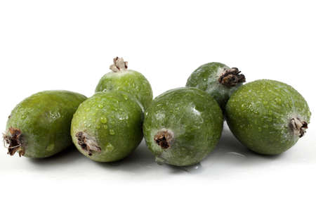 Feijoa isolated on whiteの写真素材