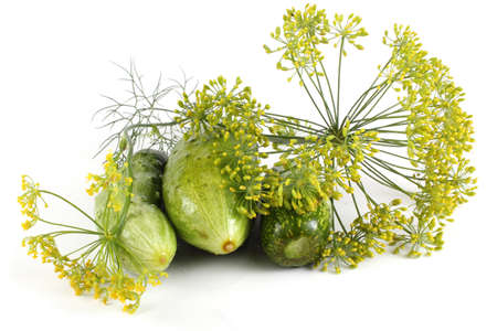 Cucumbers and dillの写真素材