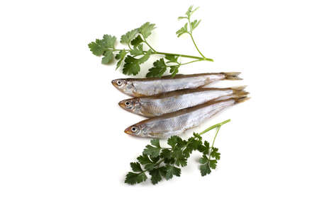 Smelt fishes and parsley isolated on whiteの写真素材