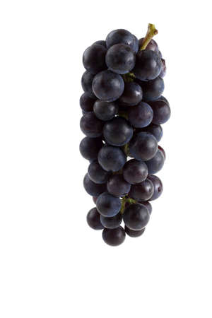 Black wine grapeの写真素材