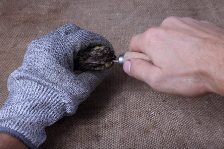 Oyster opening. Hands with oyster knife.の写真素材
