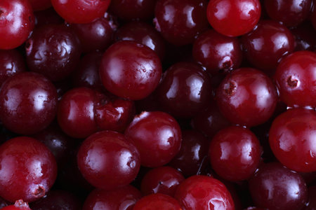 Organic berries
