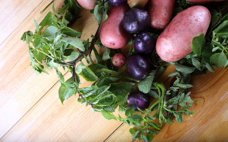 Different color potatoes