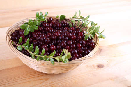 Lingonberry on table. Organic foodの写真素材