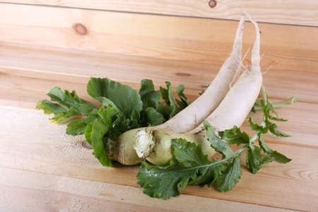 Daikon on table. Harvestの写真素材