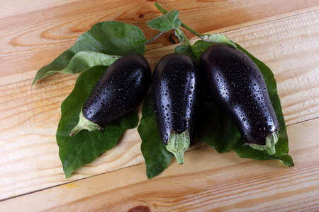 Aubergines on tableの写真素材