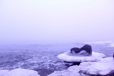 Northern sea in a fog