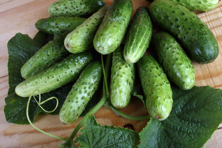 Cucumbers on tableの写真素材