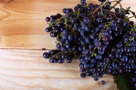 Black wine grape on table. Autumn harvest. Grape for red wineの写真素材