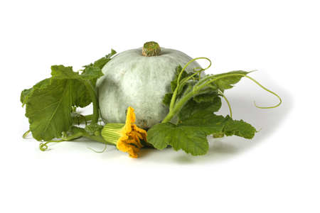 Pumpkin and leavesの写真素材