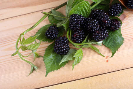 Blackberries on tableの写真素材