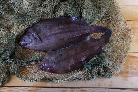 Korean flounders on net