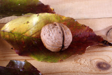Walnuts on table. Autumn harvest
