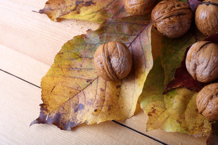 Walnuts on table. Autumn harvest