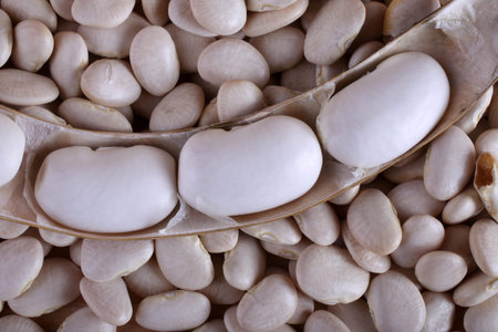 Kidney beans background