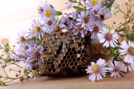 Honey and flowers on table. Harvest
