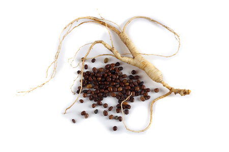Ginseng isolated on white background