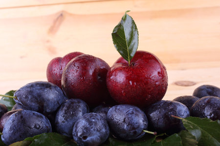 Plums on table. Autumn harvestの写真素材