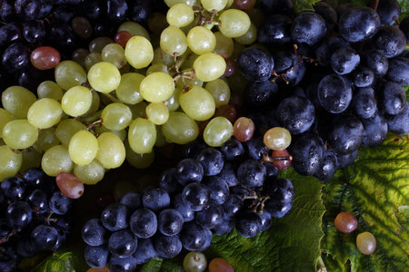 Grape background