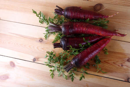 Red carrots on leavesの写真素材