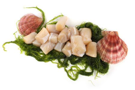 Scallop and fillet isolated on white