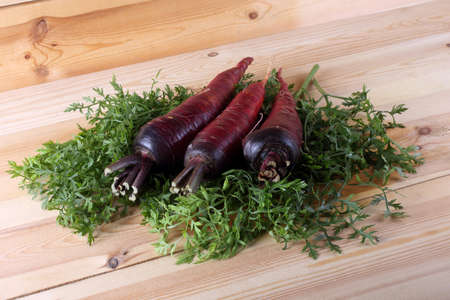 Red carrots on leavesの写真素材